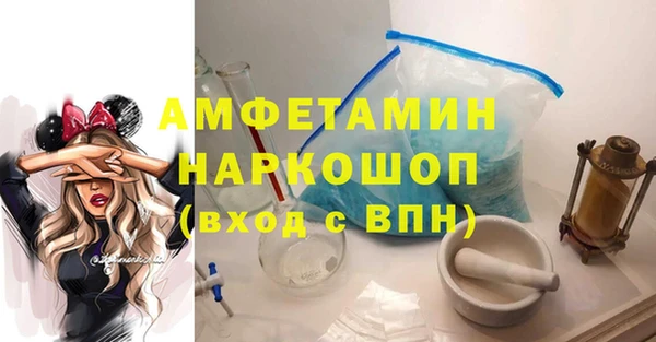 гидропоника Каменка