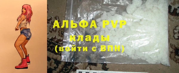 ешки Каменногорск