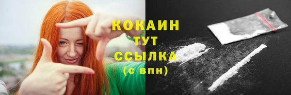 гидропоника Каменка