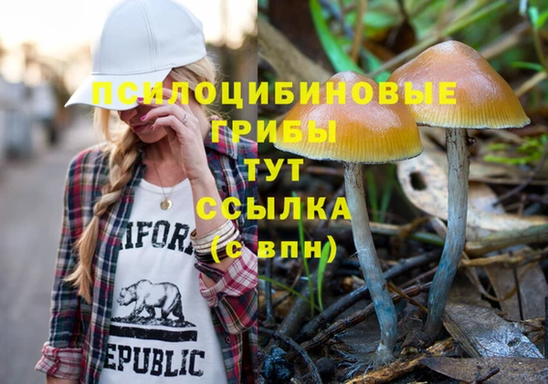 ешки Каменногорск