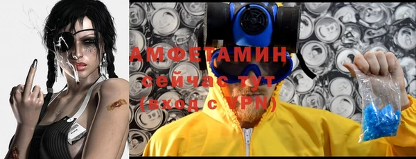 ешки Каменногорск
