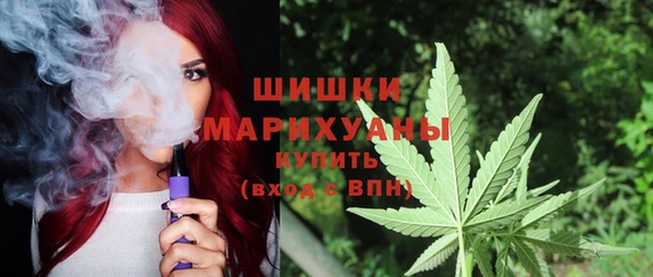 гидропоника Каменка