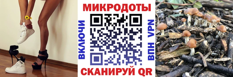 Галлюциногенные грибы Magic Shrooms  Купить закладки  Красавино 
