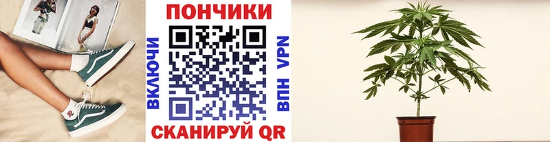 Марихуана THC 21%  Купить где  Красавино 